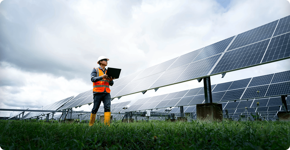 Solar panel farm with green grass strips